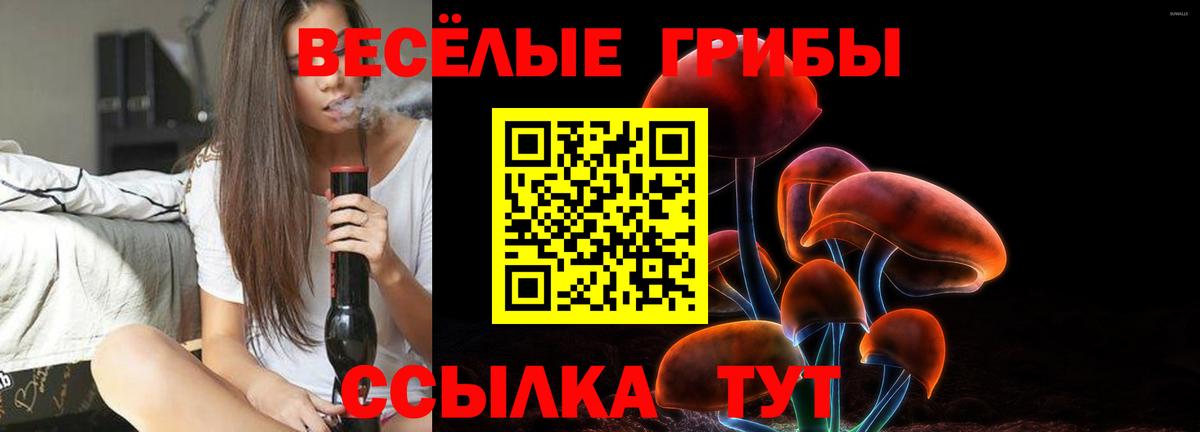 Калининград  Псилоцибиновые грибы Psilocybe  Вход с VPN  Галлюциногенные грибы мицелий 